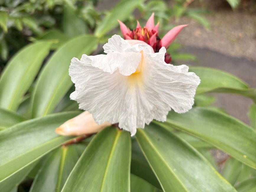 Unterwegs in Costa Rica
