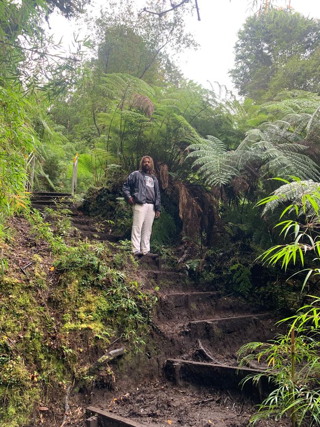 Queulat Nationalpark