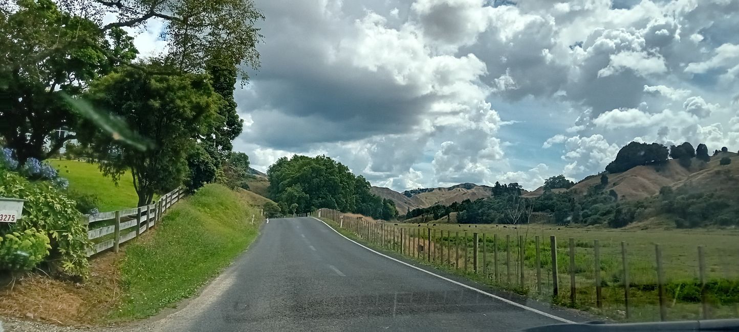 Autoroute du Monde Oublié / République de Whangamomona