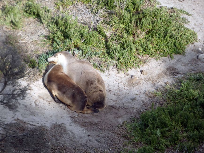 Kangaroo Island