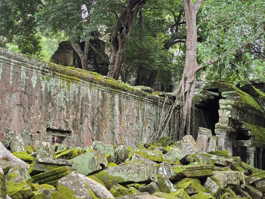 Ta Prohm
