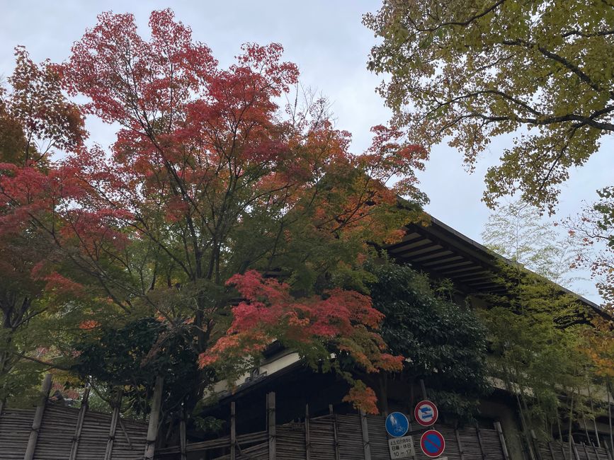 13.Kapitel: Mit den Rehen im Himmel