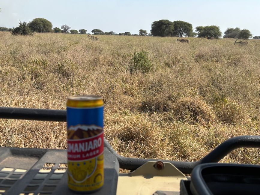 Parc national de Tarangire