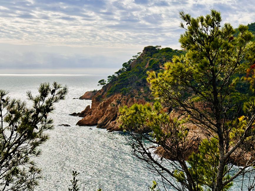 We are doing well, thank you! 
Coastal road from Sant Feliu de Guíxols to Tossa de Mar