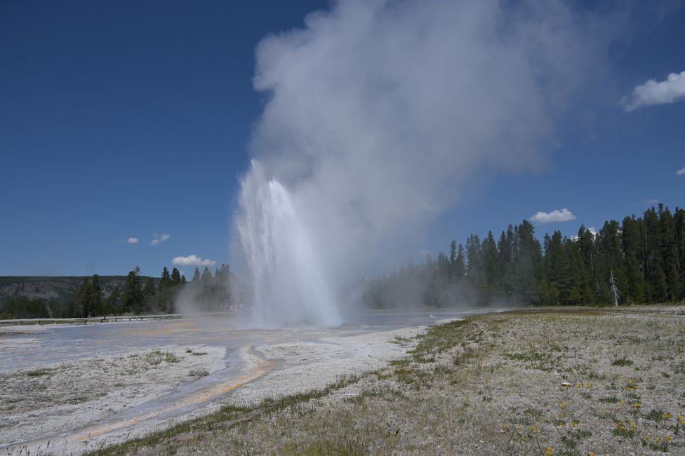 Bassin supérieur des geysers - Geyser Daisy