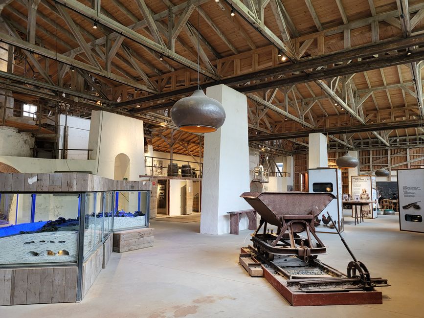 Musée Mønsted Kalkgrube