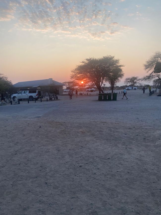 Etosha National Park 🐘🦒