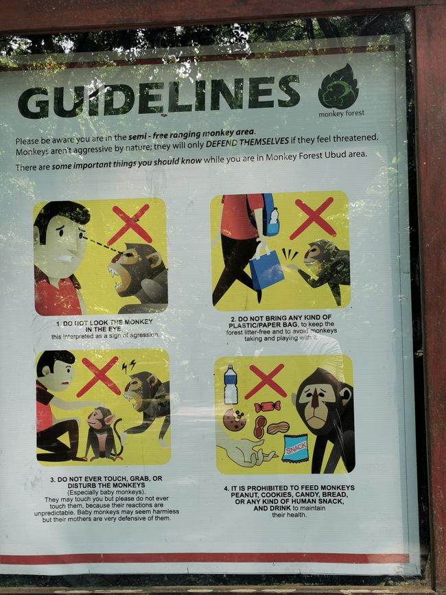 ... y aquí están las reglas ... pero hoy estaban muy relajados ..