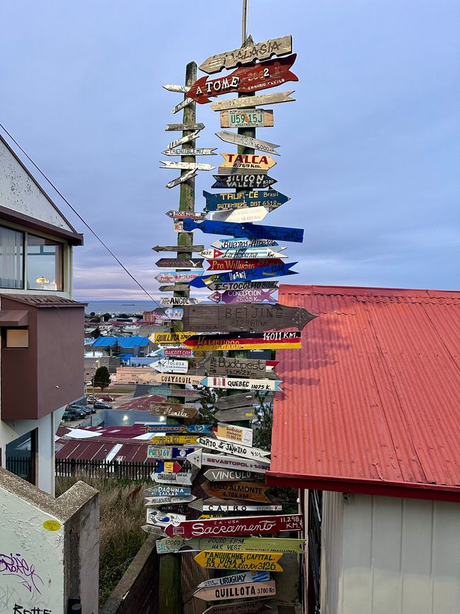 Day 15 - Punta Arenas