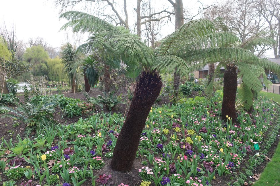 St. James Park
