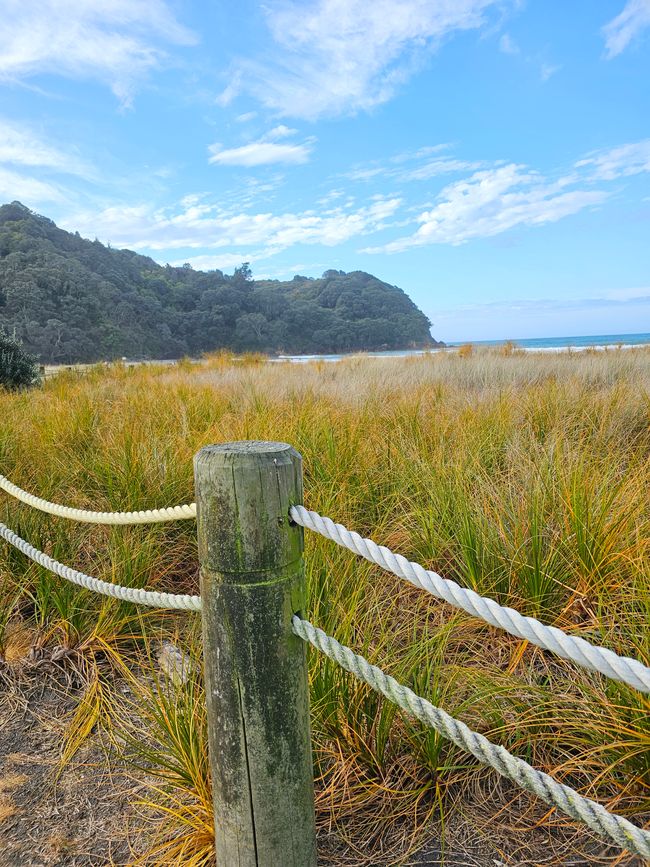 Waihi Beach