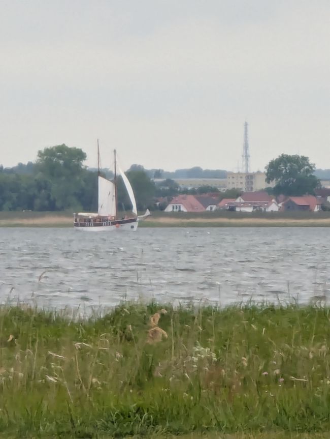 Greifswald- eine Stadt am Bodden