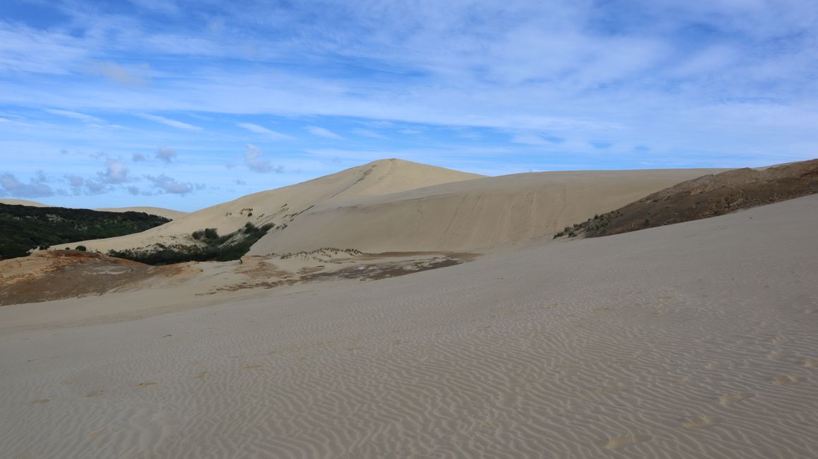 Te Paki Giant Sand Dunes
