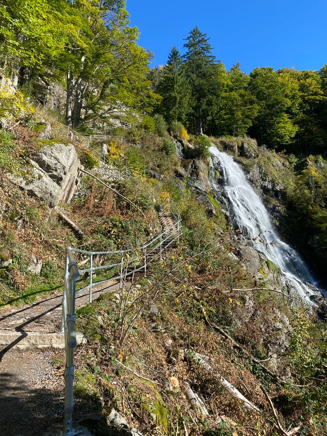 - der Wanderweg führte uns stetig bergauf