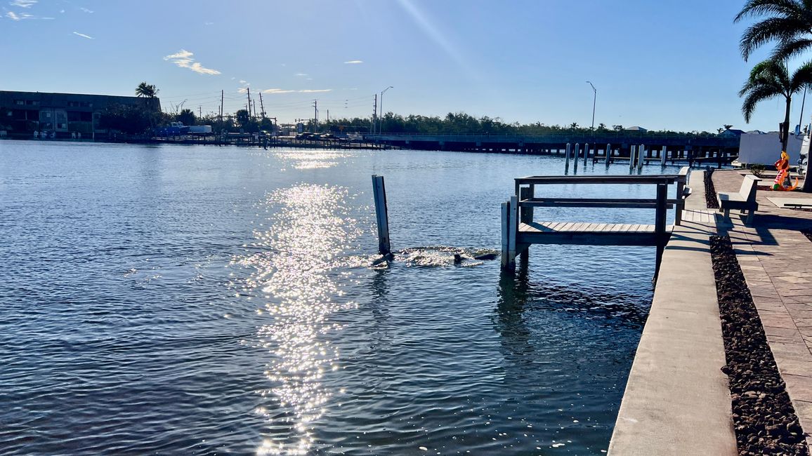 Tag 377 - Fort Myers