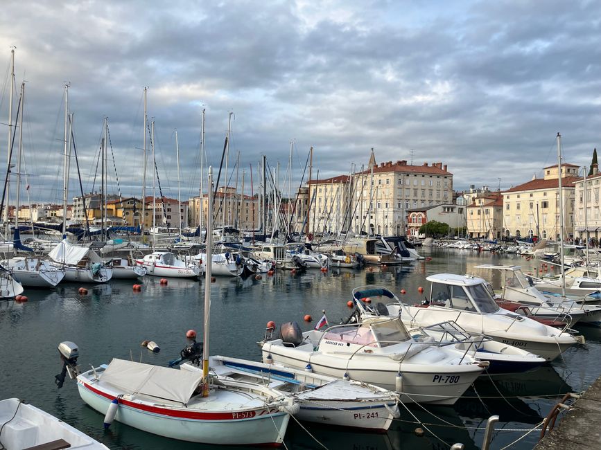 Hafen Piran