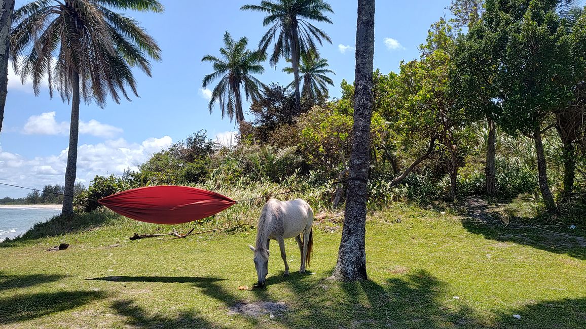 Brasilien, Praia Garcez