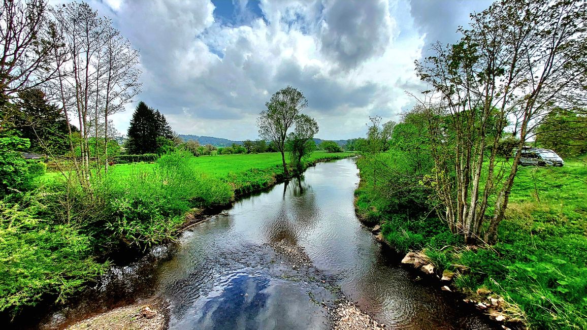 Not only fly fishing at the Kyll/Eifel