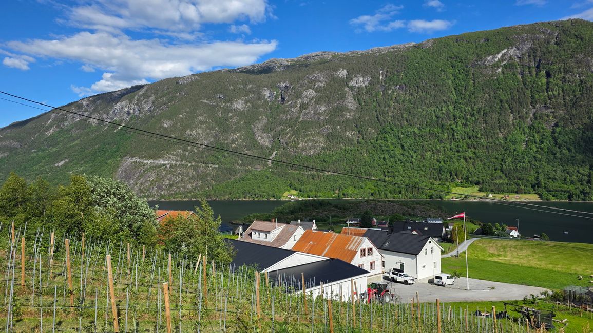 Insel Runde-Südnorwegen
15.Juni 2026