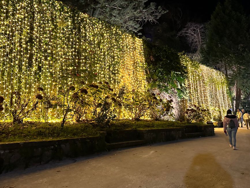 Ein Tag voller Entdeckungen in Sintra: Märchenhafte Paläste und kulinarische Genüsse