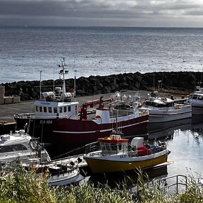 Arctic Circle