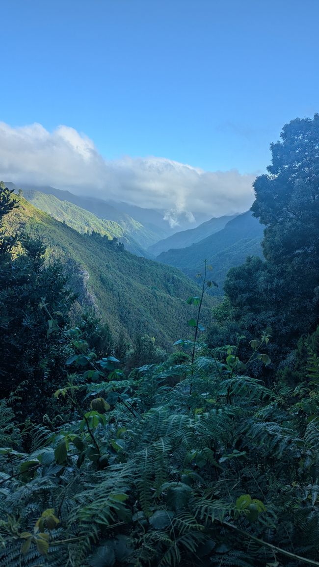 Tag 10: Levada das 25 Fontes und Risco & Feenwald