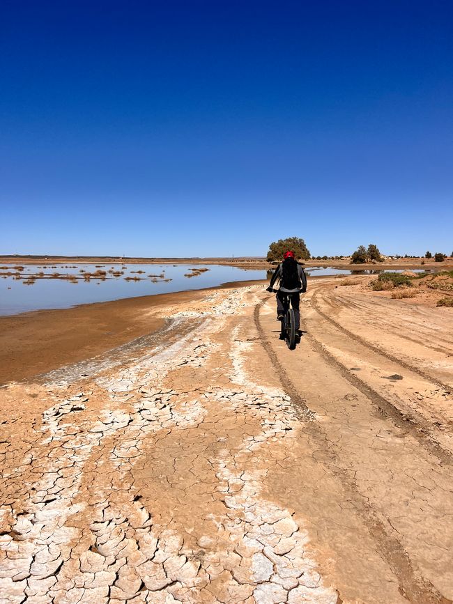 The first water in the desert appears