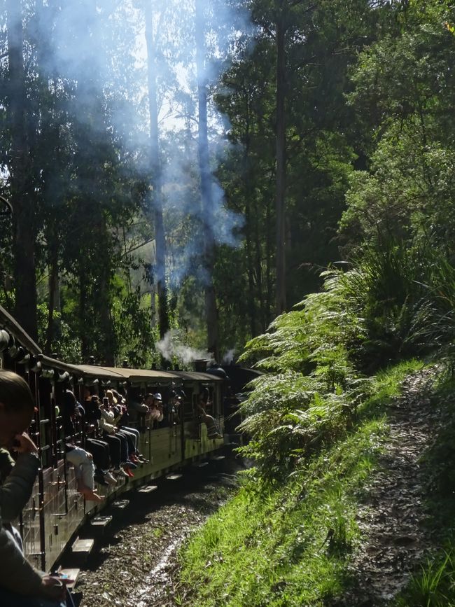 Puffing Billy Dampfzug