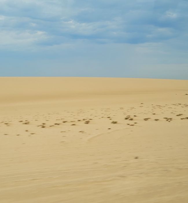 Jour 146 et 147/148 sur 175 : Croisière autour du monde : Walvis Bay/Namibie et deux jours en mer