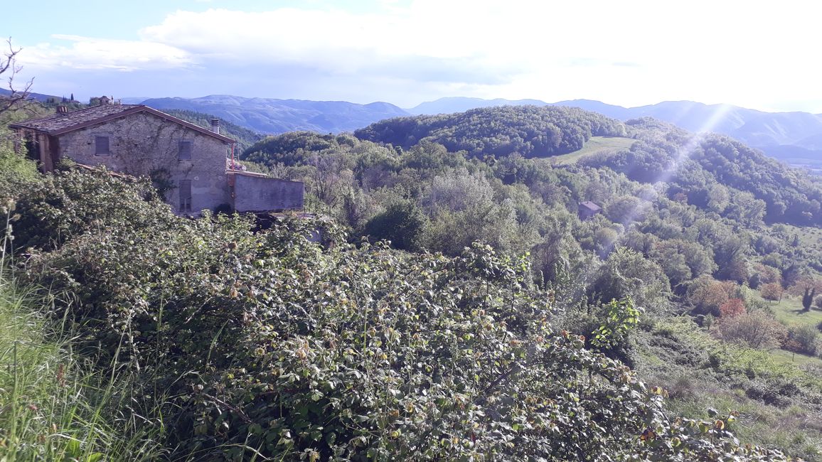 Voici la vue de mon logement d'aujourd'hui..