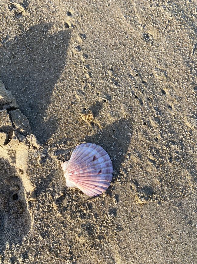 At the End of the World