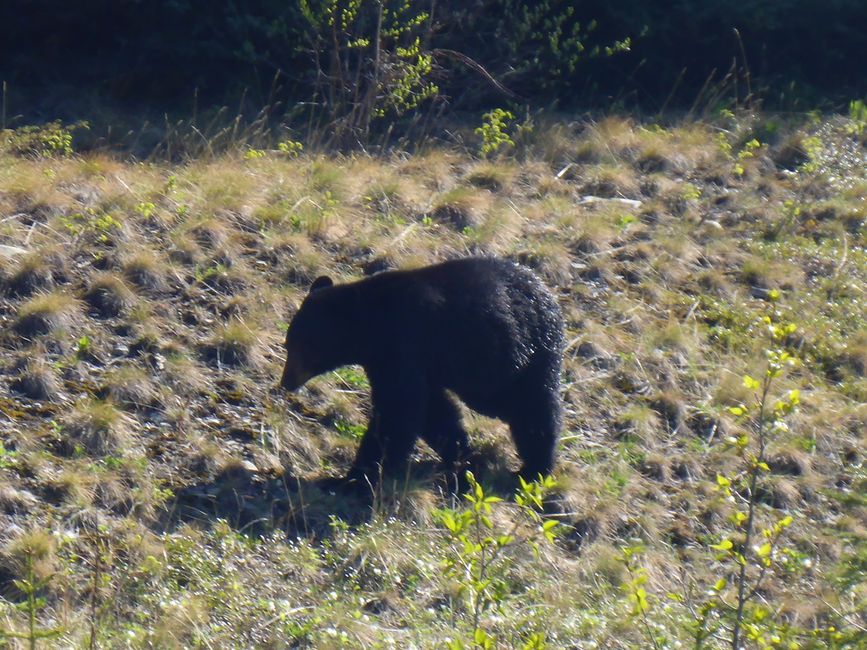 Western Canada