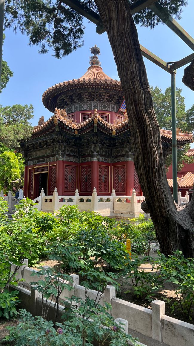 Week 2 - Beijing and the Great Wall, China