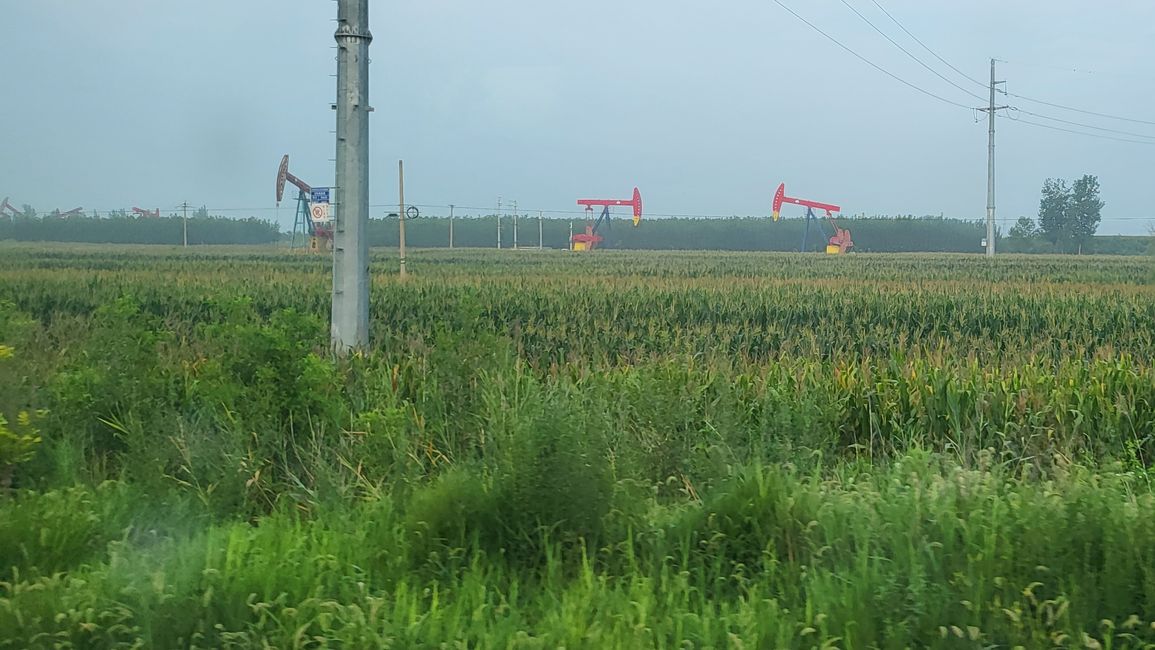 Oil Production near Cangzhou