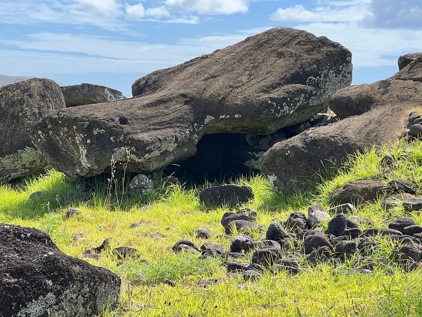 Ma anche i Rapa Nui hanno rovesciato molti Moai durante il passaggio dal culto degli antenati al culto dell'uccello uomo