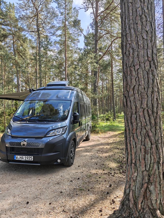 Unser Stellplatz im Wald 
