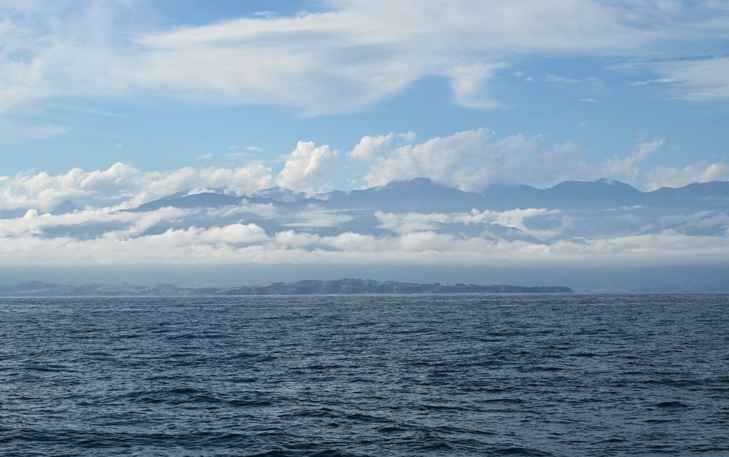 Aussicht auf Kaikoura und die Alpen im Hintergrund