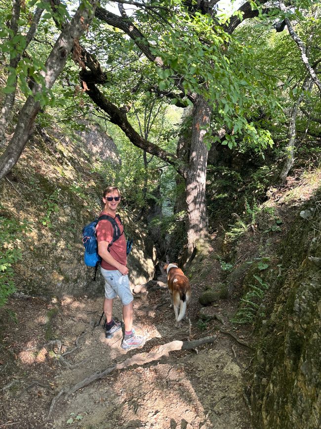Unser Wanderführer Buddy zeigt uns den Weg
