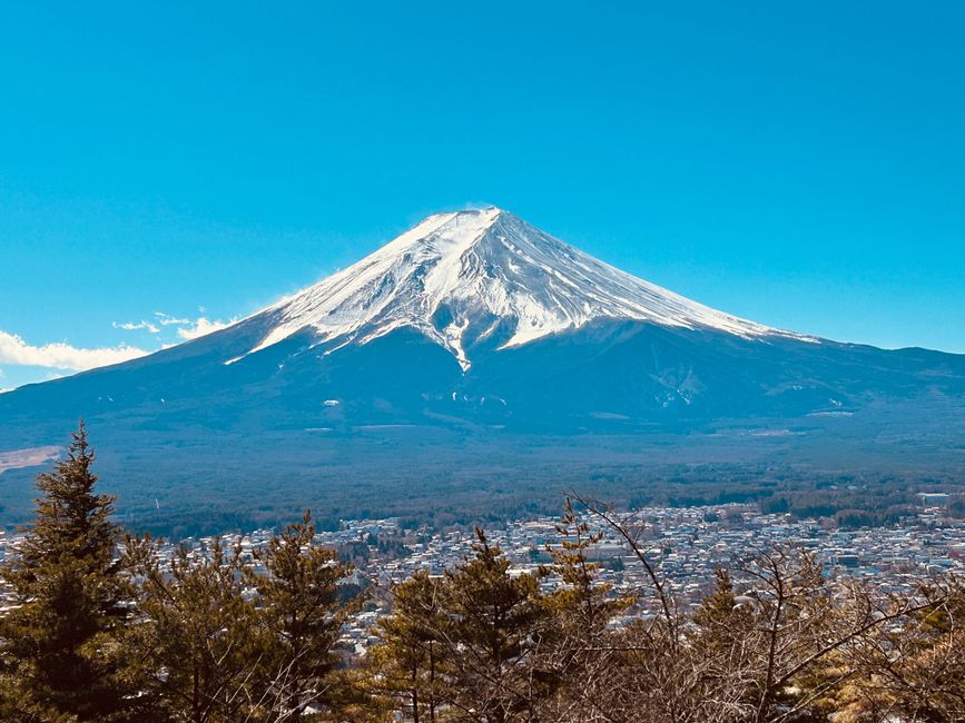 Fujikawaguchiko - Day 4-5