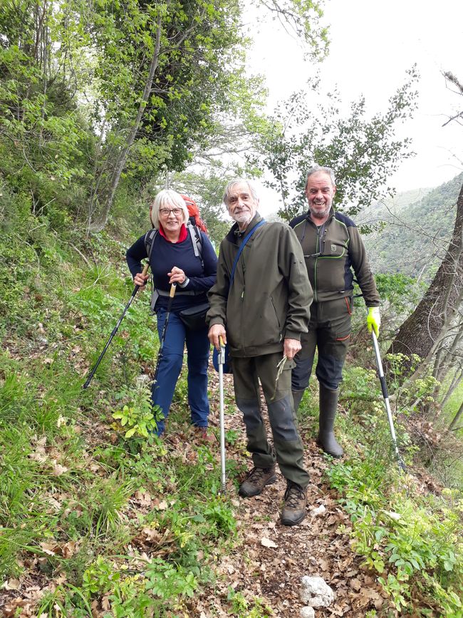 What the two gentlemen are holding are not walking sticks, but tongs for harvesting wild asparagus.