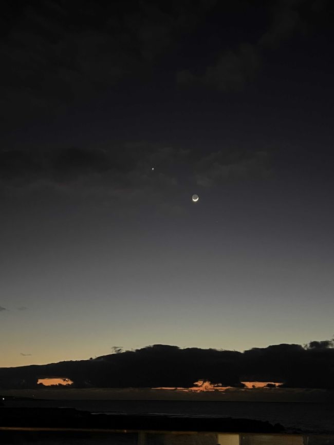 moonlight