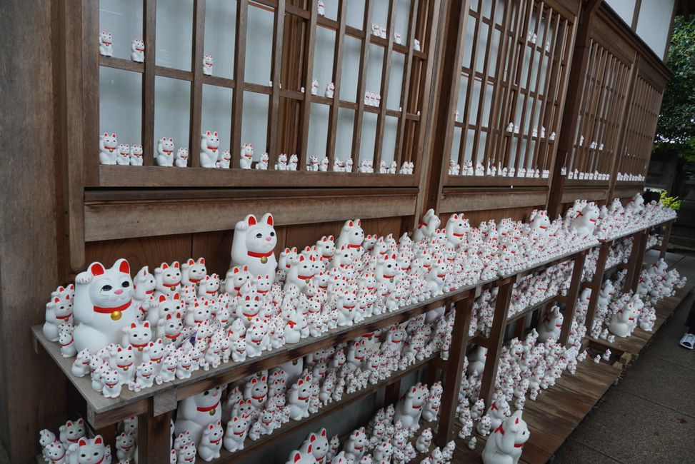 Regentag in Tokio