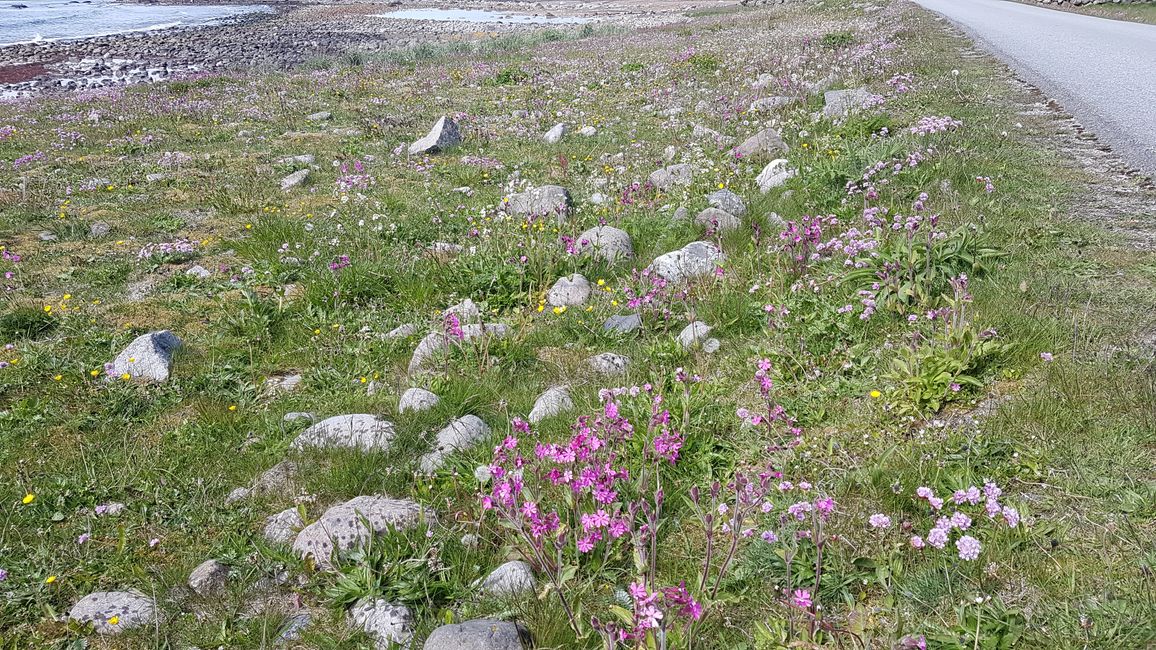 Motorradtour nach Norwegen im Mai 2019