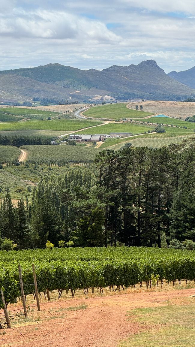 Weingut Ataraxia in Hermanus