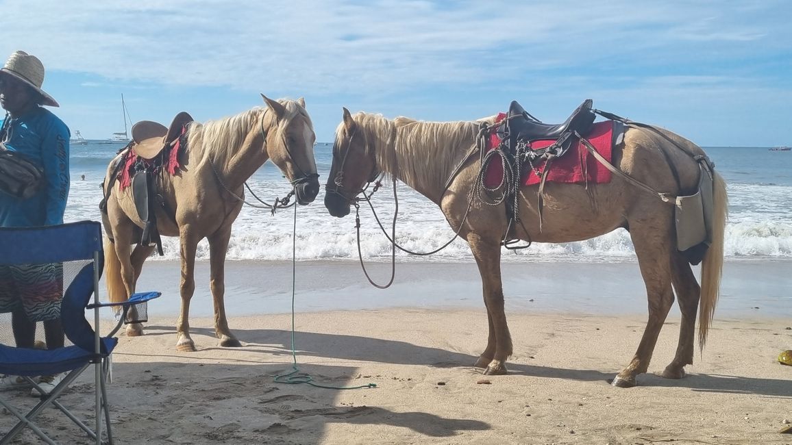 Tamarindo