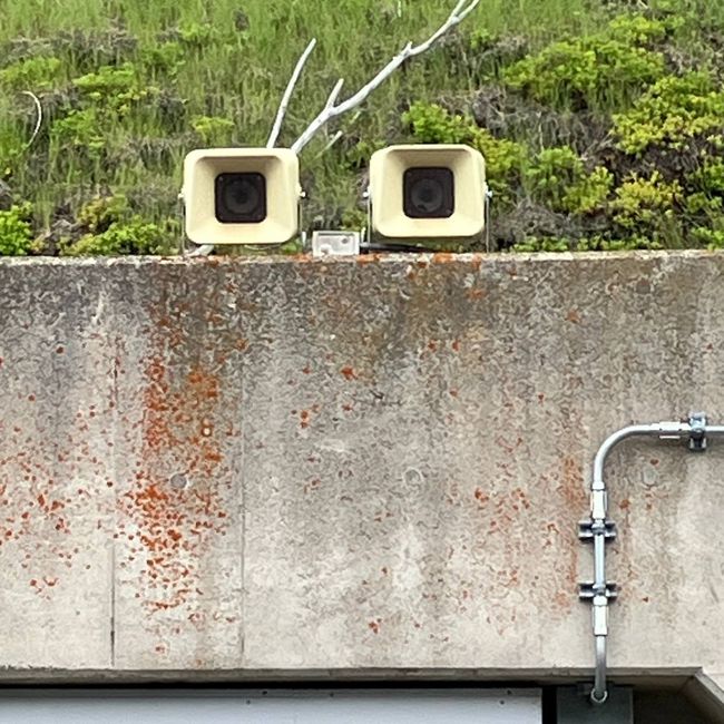 Japanische Gesichter 🙂