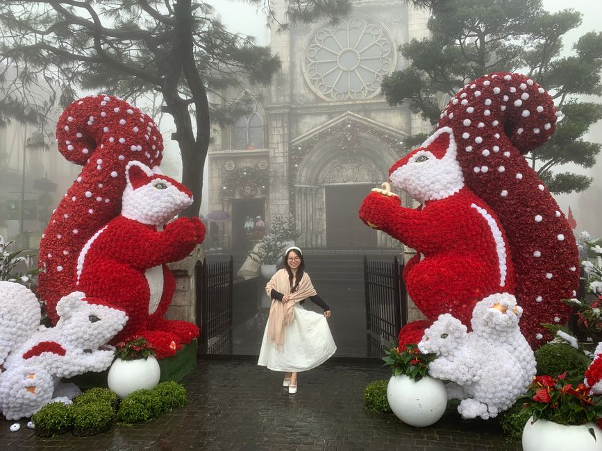 Tag 6 - Hoi An : Un Licorne Endormi et une Aventure dans le Brouillard