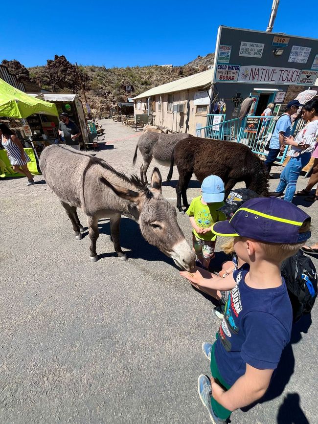 Oatman