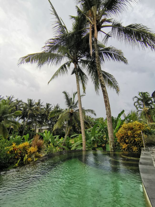 Bali - Reisfelder und Surfhotspot