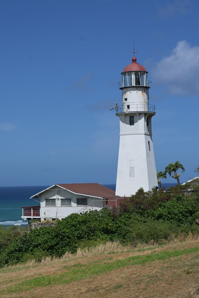 Côte Est - Mangouste au phare de Diamond Head
